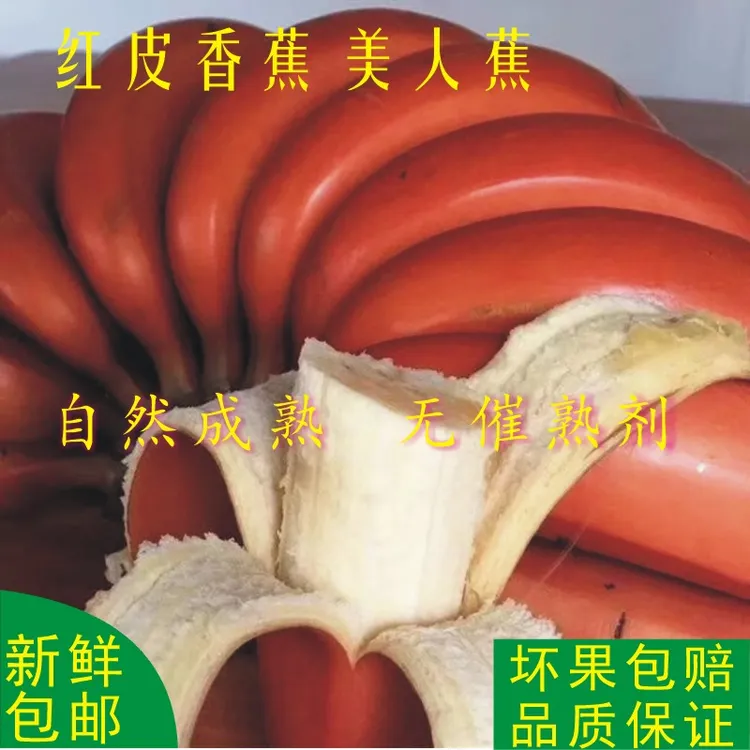 广西红皮香蕉红美人蕉新鲜香蕉新鲜水果现采现发水果当季热卖