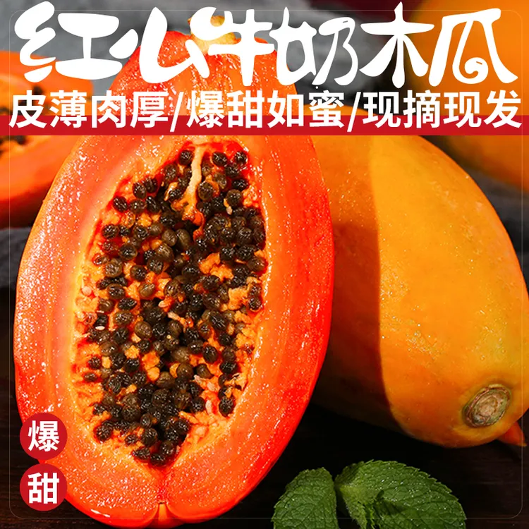 【树上熟 冰糖心木瓜】版纳红心木瓜细腻软糯香甜新鲜皮薄果园清香