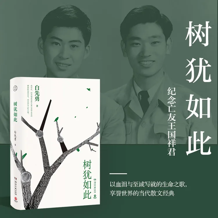 【当当】树犹如此 2022新版（白先勇先生亲自审定的散文选集，以