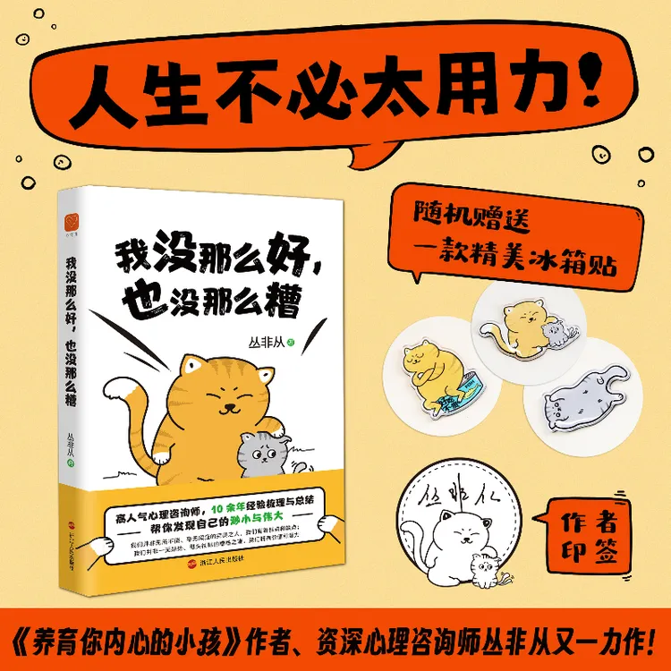 我没那么好，也没那么糟（《养育你内心的小孩》作者丛非从十年精