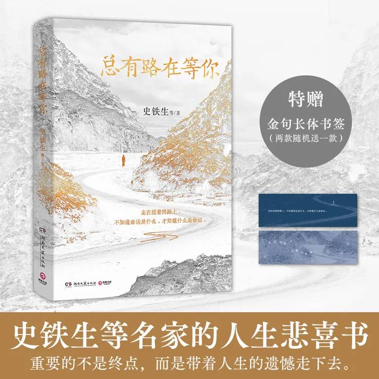 总有路在等你（史铁生等文坛名家的人生悲喜书，重要的不是终点，