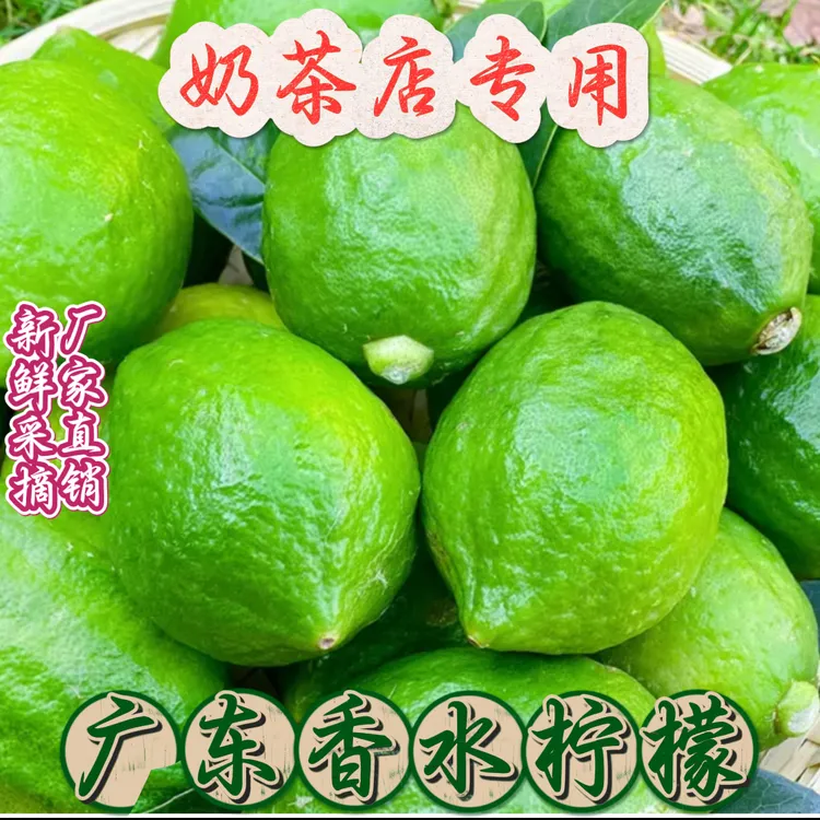 正宗广东无籽香水柠檬饮品店手打柠檬茶专用新鲜采摘产地直发