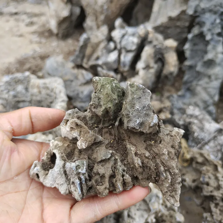 精选小盆景石 小花石 英石 鱼缸水陆缸造景青龙石