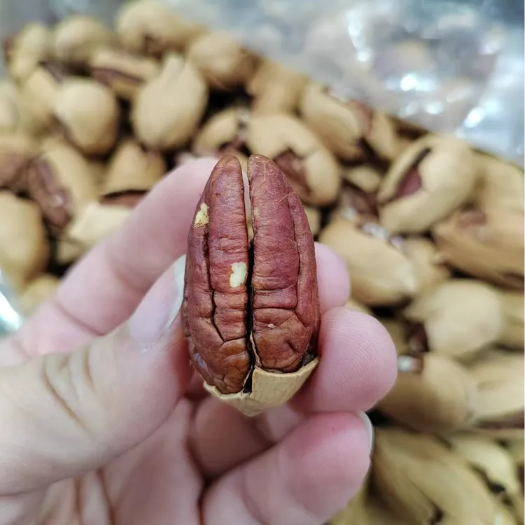 新货爆壳碧根果大歪特好剥奶油味长寿果特好吃零售批发