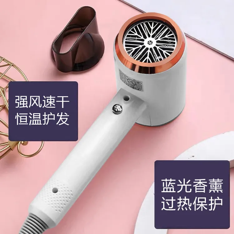 茵特拉电吹风机家用大风力多档冷热风低噪音吹风筒一键冷风Y33