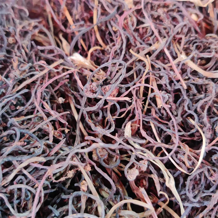 东北新鲜猴腿干自然晾晒泡发凉拌炖炒当年新鲜猴腿干菜山野菜顺丰