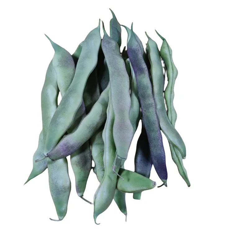 东北当地农家新鲜现摘现发油豆角五花肉炖豆角老味道芸豆顺丰包邮