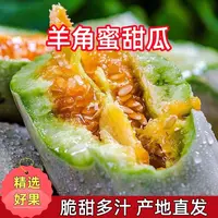 【脆甜多汁】正宗山东羊角蜜甜瓜新鲜当季香瓜蜜瓜产地直发