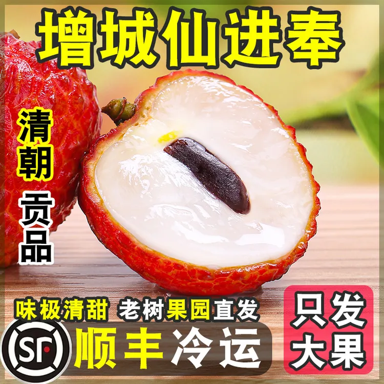 挂绿花城【正宗新鲜荔枝仙进奉】增城顺丰空运直发高端水果礼盒装