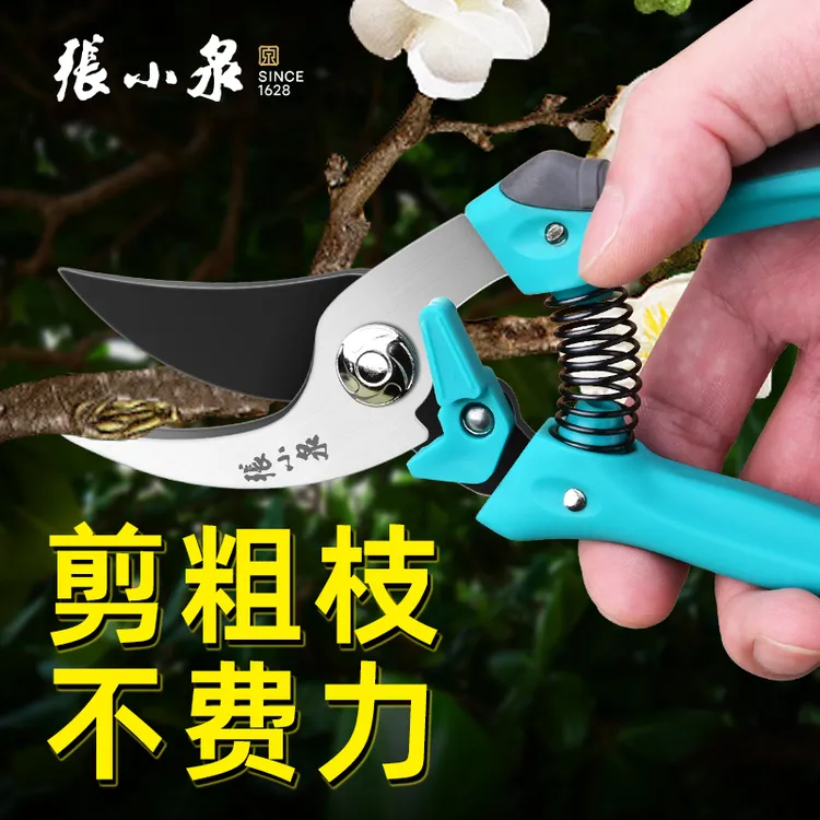 张小泉修枝剪园艺园林剪刀树枝果树专用剪枝强力剪刀修剪花艺剪刀