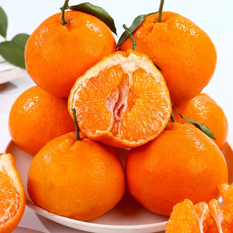 正宗四川春见耙耙柑新鲜水果净重4.5/8斤粑粑柑产地直发酸甜爆汁商品图