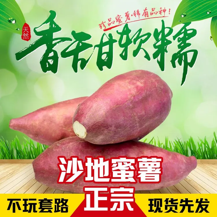 山东沙地蜜薯正宗粉糯甘甜地瓜新鲜现挖沙地烤红薯农家种植蜜薯