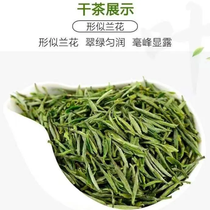 （1号）2025舒城小兰花新茶香气特级白霜雾毫250g/500g品质自然翠绿