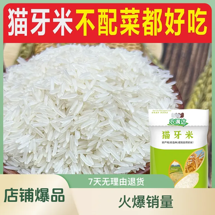 农满达【猫牙米】10/20斤新米再生稻米岭南丝苗米长粒香大米煲仔饭