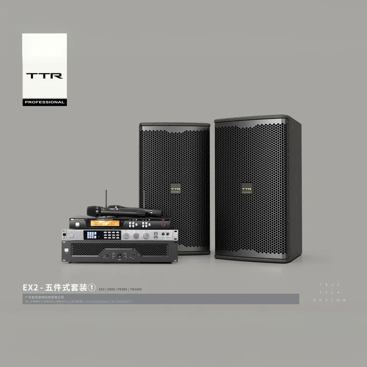 TTR ENTERTAINMENTEX2五件KTV套装卡拉OK唱歌K歌套装专业音响