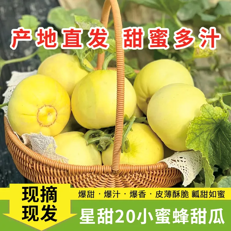 顺丰包邮头茬小蜜蜂甜瓜蜜甜脆爽当季新鲜水果香瓜2/3/5斤