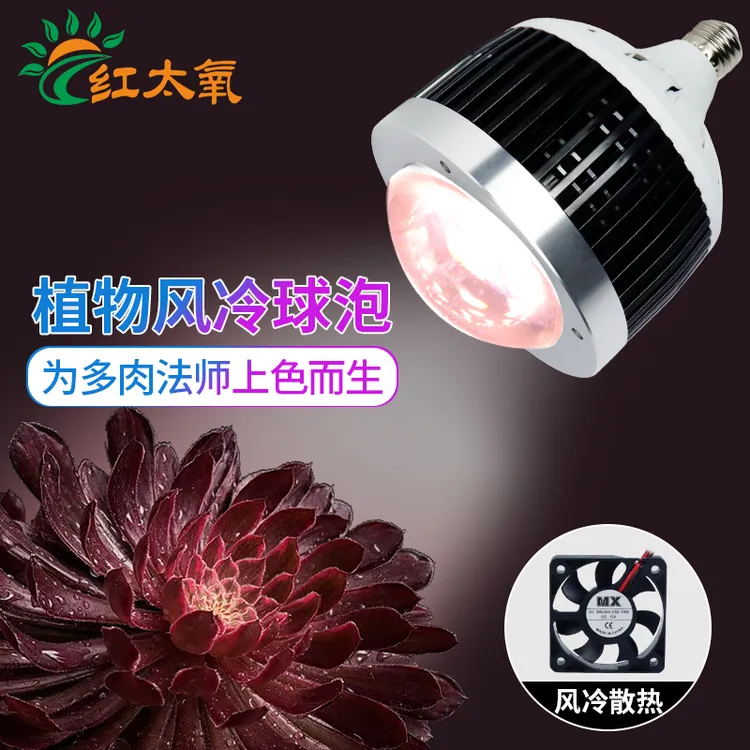 红太氧多肉专用补光灯全光谱球泡灯仿太阳家用室内上色植物生长灯