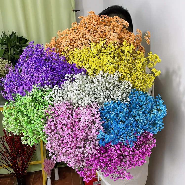 【产地精选满天星】基地直销花店批发客厅卧室田园家居摆件插花高考