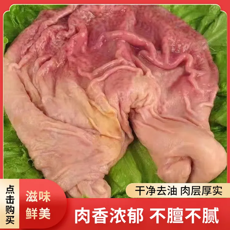 鲜猪肚一 猪胃  东北本地鲜货  5斤一单包邮
