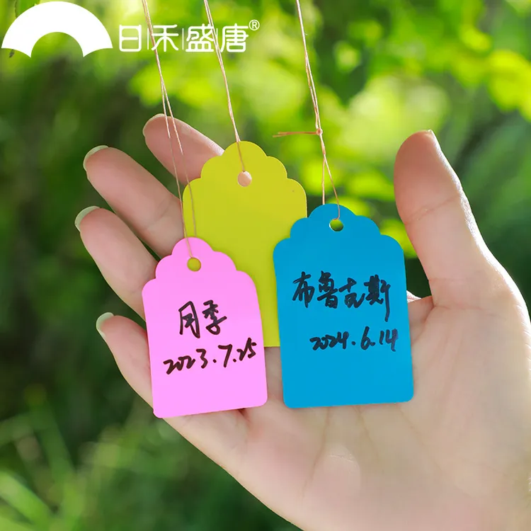 植物标签园艺花名花盆标签T型多肉标签彩色指示牌微景观防水插牌