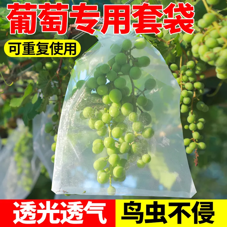 葡萄套袋专用袋防虫葡萄套育袋葡纸袋葡萄袋果袋袋子防水萄专用的