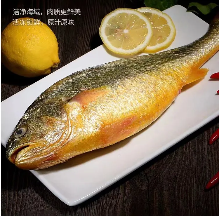 木大姐专属连云港发货新鲜大黄鱼冰鲜到手5条400-500g左右/条