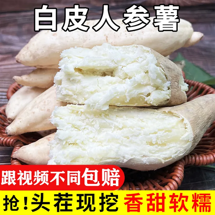 [9斤包邮]新鲜白皮人参薯白心板栗薯辅食粉面粗粮地瓜红薯5斤包邮
