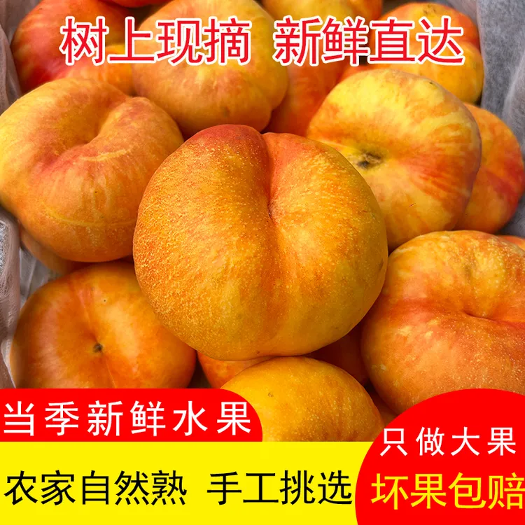 黄金彩虹油蟠桃大果当季正宗蟠桃扁桃纽扣黄肉桃子孕妇新鲜水果