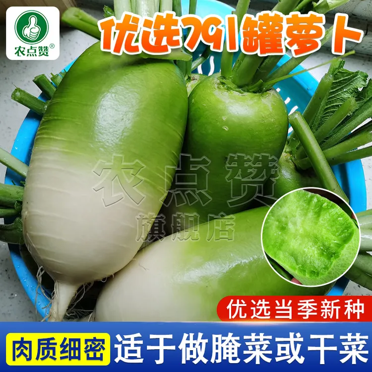 791青萝卜种子 春秋冬季播抗寒青萝卜菜种籽青头青皮甜脆蔬菜种孑
