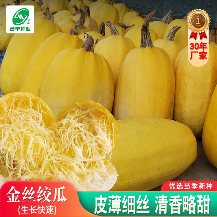 金丝绞瓜种子  金瓜搅瓜蔬菜种籽春季简单天然高产种植蔬菜种籽