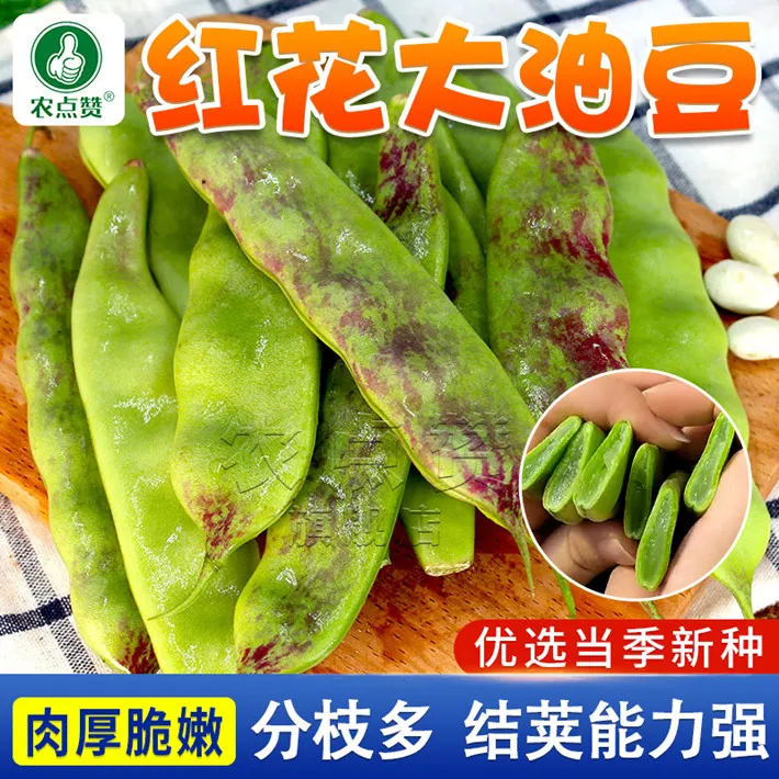 东北油豆角种子一点红高产红豆角由豆角蔬菜种子春季播种简单夏季