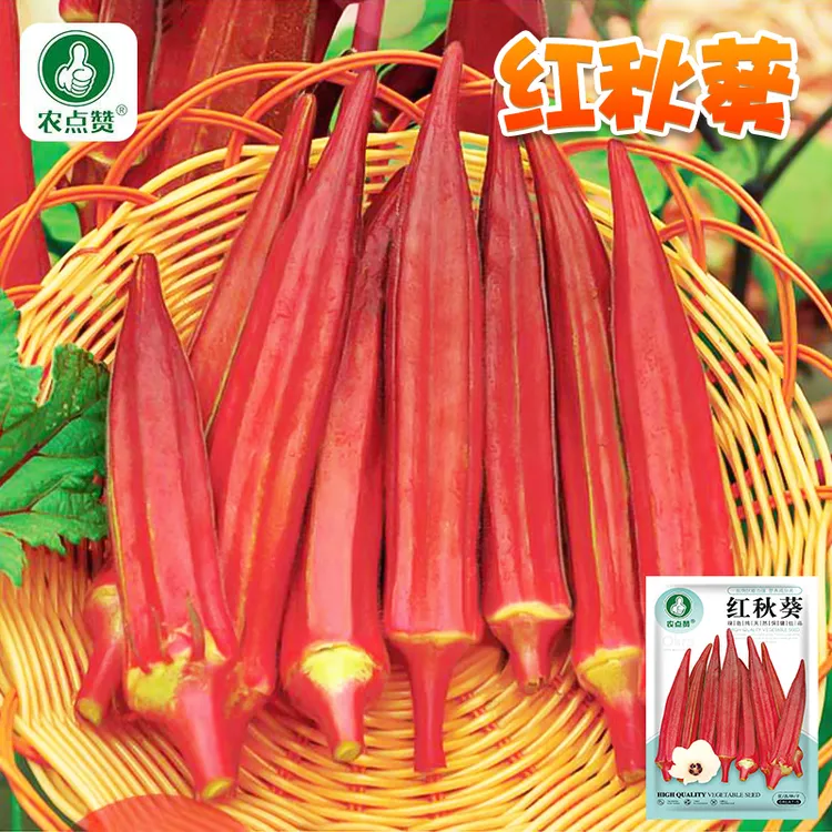 红秋葵种子 红色奶油水果秋葵种籽营养丰富家庭小院四季简单种植