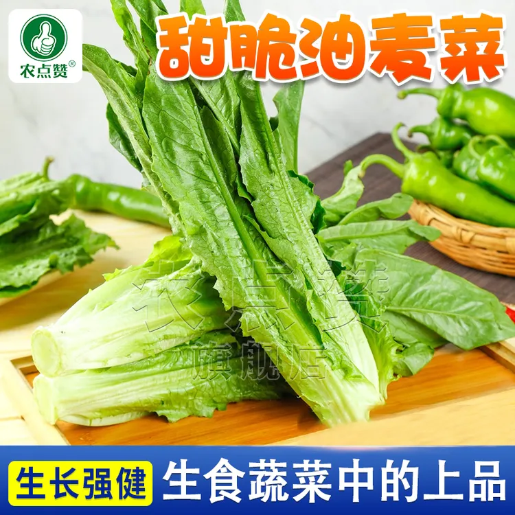农点赞 脆甜油麦菜种子 速生甜脆香油麦菜四季播种盆栽庭院