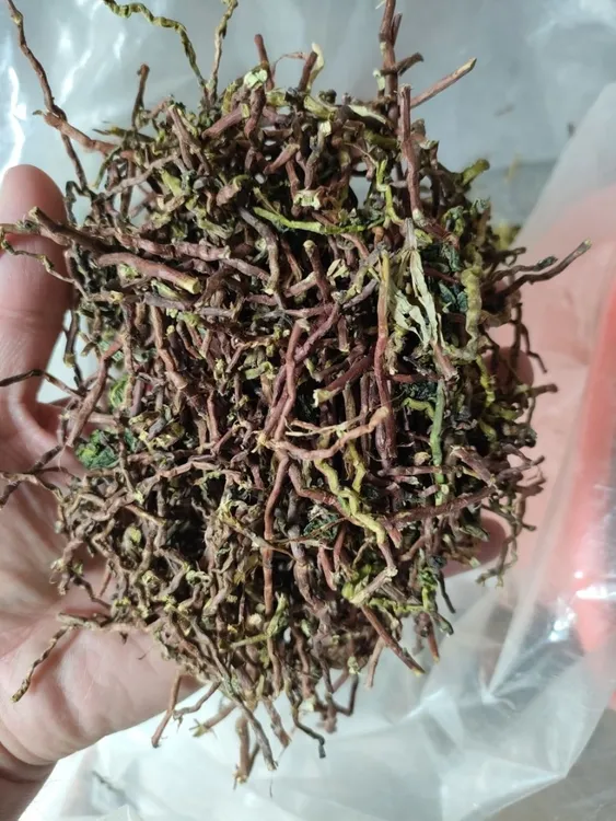 茶枝去味茶叶梗除味散装茶梗铁观音茶叶梗吸味茶叶装修去甲醛包邮