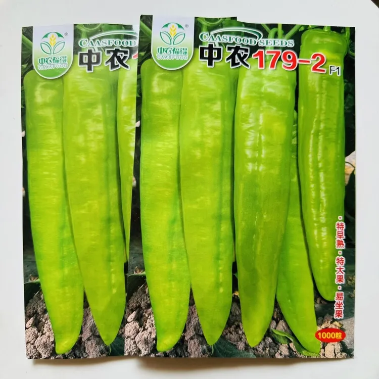 中农福得中农179-2 大果牛角椒粗尖椒种子黄绿皮抗病大果尖椒种籽