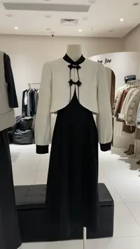 【小乔定制】忆江南~新中式立领盘扣流苏刺绣女装连衣裙套装
