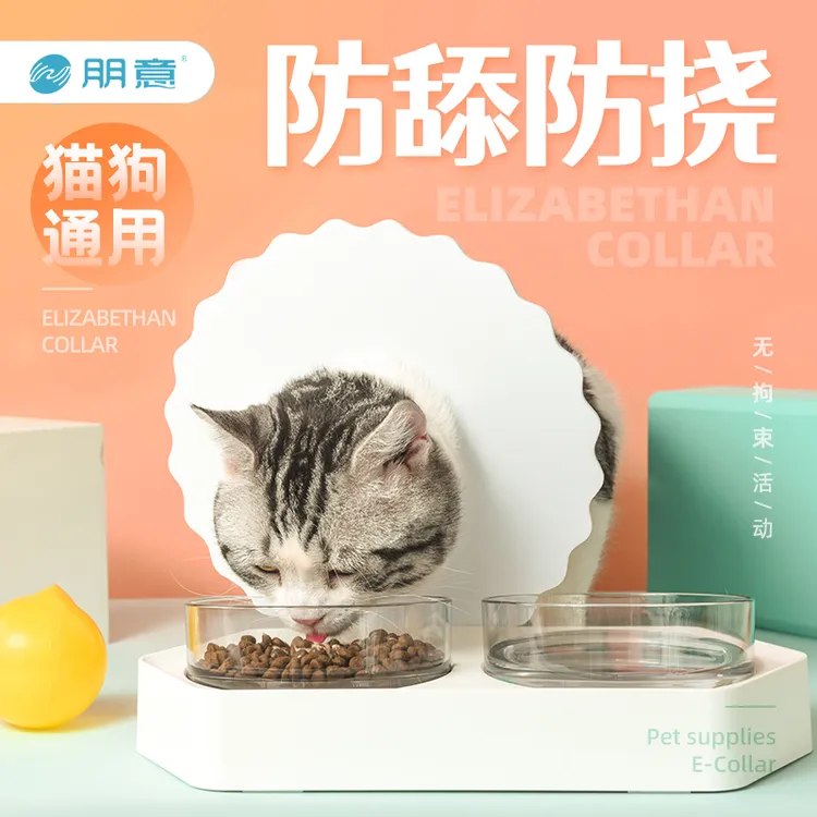 伊丽莎白圈小奶猫周抛式猫头套项圈德文猫防咬防舔防护罩猫咪专用