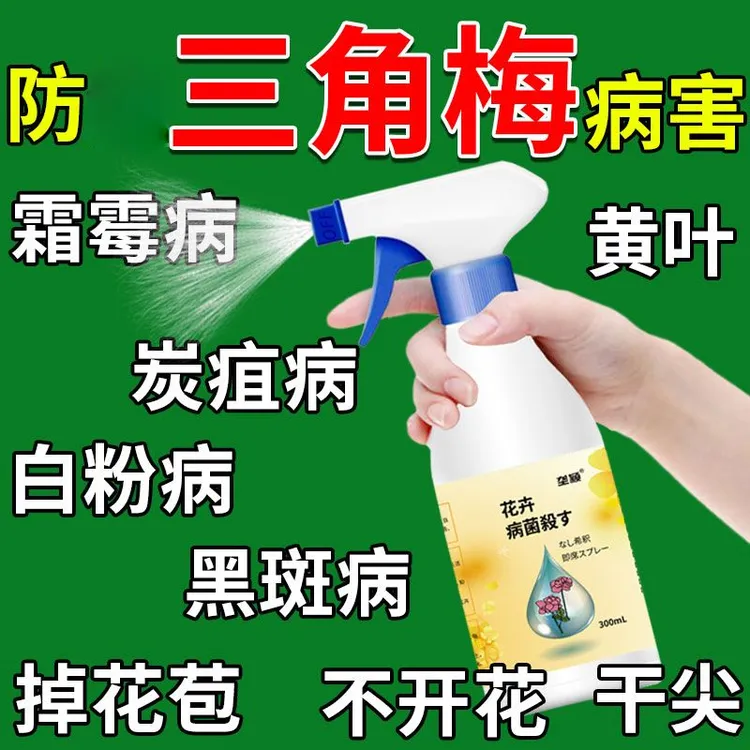 三角梅病害专用除菌剂黄叶掉叶叶斑病炭疽病枯叶病根腐烂根专用剂