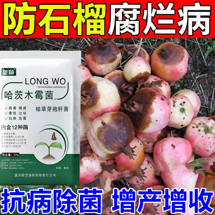 石榴腐烂病专用肥疮痂病沙皮病炭疽病黑斑病腐烂病烂果水溶叶面肥