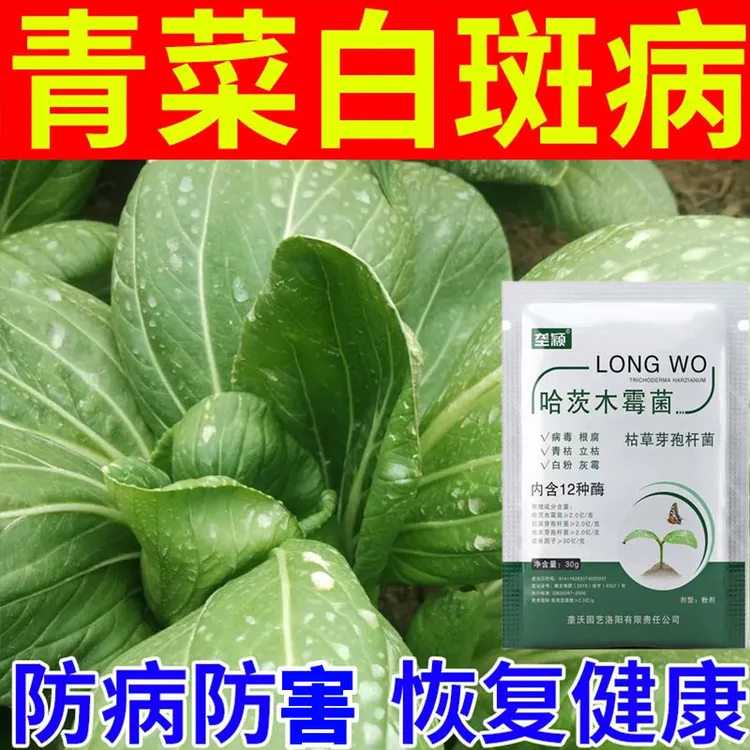 青菜病专用黄叶病白斑病叶子发黄防烂根烂叶上海青鸡毛菜专用肥料