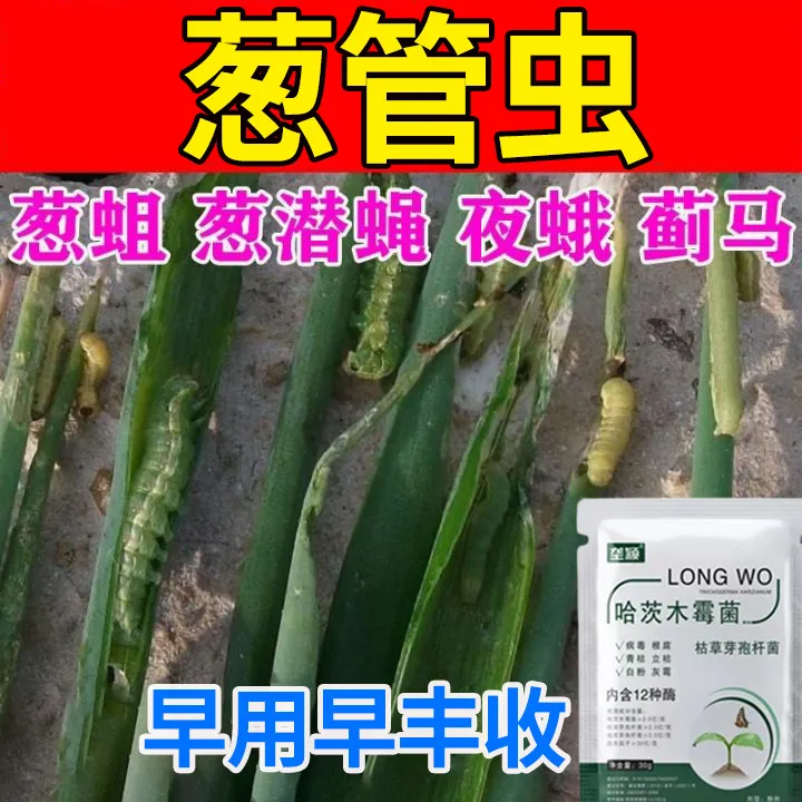 大葱专用葱管虫卷叶虫青虫葱蝇葱蛆多菌灵黄叶抗虫害大葱叶面肥料