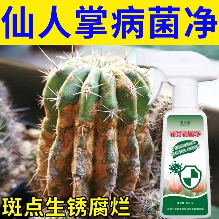 仙人掌锈斑病专用营养液肥料仙人球炭疽病白粉病茎腐病花卉病菌净