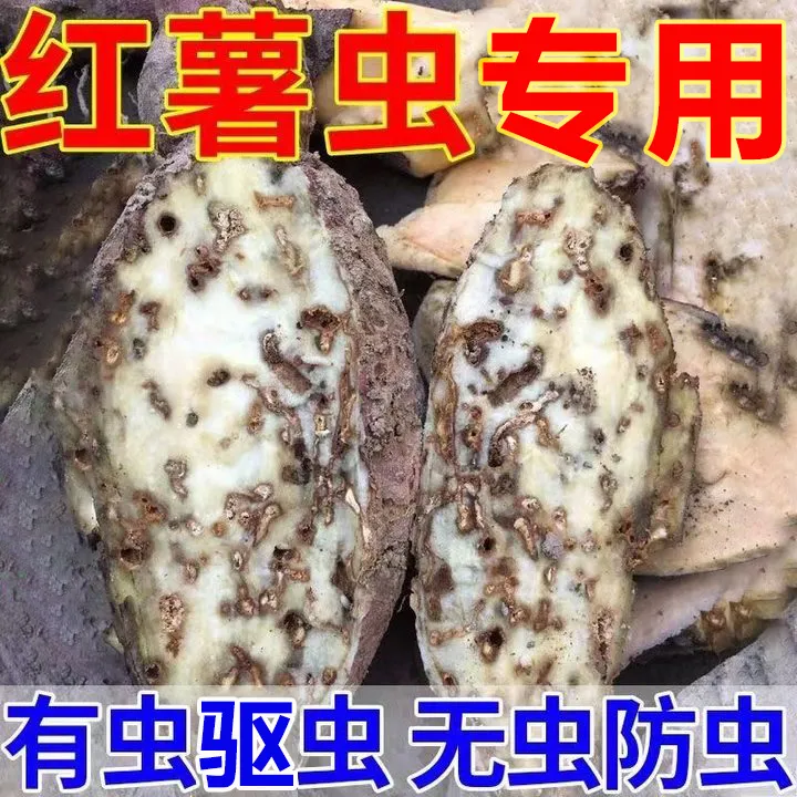红薯专用肥红薯地下害虫红薯防蛀虫茎线虫黄叶病小叶病红薯叶面肥