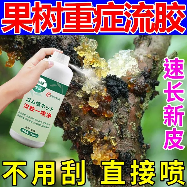 流胶一喷净果树柑橘花椒柑橘杏树李子病流胶病穿孔净通用增产肥料