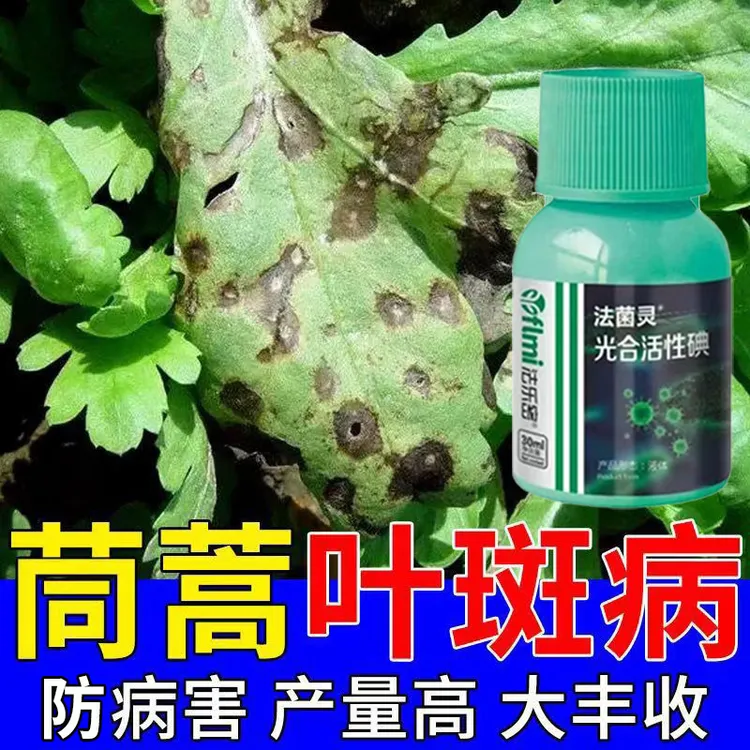 茼蒿菜叶斑病专用肥料抗病增产促生长霜霉炭疽枯萎烂根黄叶卷叶肥