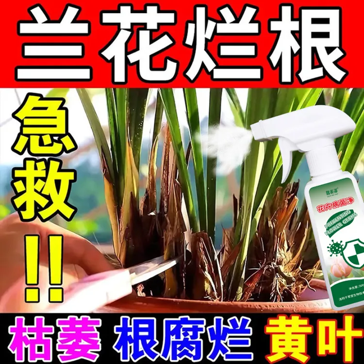 兰花烂根专用肥料根腐茎腐软腐病枯叶黑斑炭疽病害除菌剂营养液
