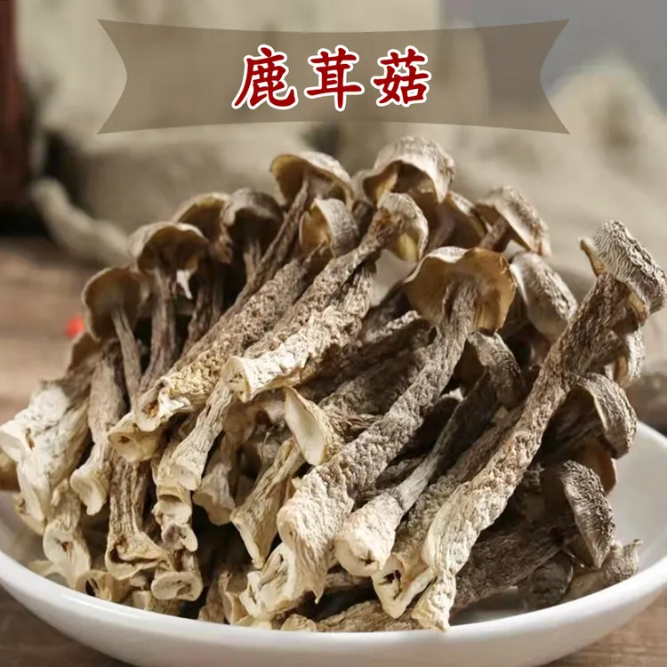 泽康堂 广东汤料 精选鹿茸菇