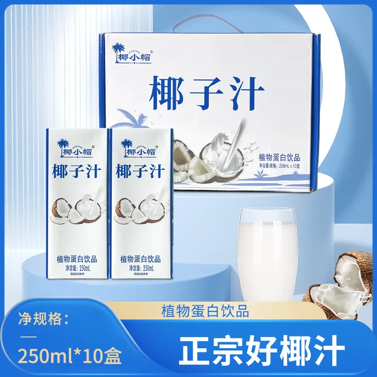 椰子汁植物蛋白饮品风味饮料1箱-10瓶*250ml-YY营养