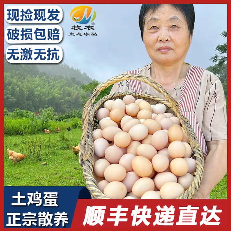 牧衣牧衣笨鸡蛋新鲜农家鸡蛋安徽九华山高山散养鸡蛋现捡现发