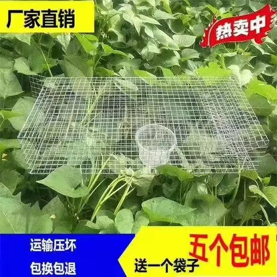 镀锌网笼鹌鹑笼新款加厚防锈铁丝笼双门果园茶园户外防虫笼笼中笼